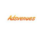 Adsvenues SEO Company Delhi