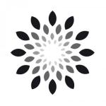 General Medical Systems