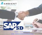 SAP SD Training institute in Noida SAP SD Training Course in Noida