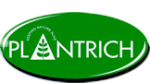 buy indian organic spices