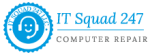 Software Support and Maintenance, Computer Repair Services