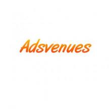 Adsvenues SEO Company Delhi