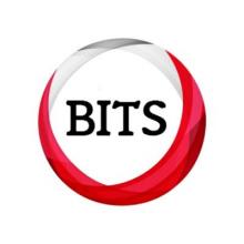 India's Best Digital Marketing Company | BITS SEO Agency India's Best Digital Marketing Company | BITS SEO Agency