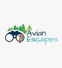 Avian escapes -Bird watching tours and Birding tours and trip in North east India Avian escapes -Bird watching tours and Birding tours and trip in North east India
