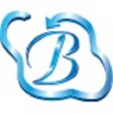 Bhavitra Technologies Private Limited Bhavitra Technologies Private Limited