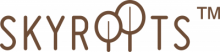 TRICITY WEB SOLUTIONS WEB DESIGNING AND DEVELOPMENT COMPANY IN CHANDIGARH