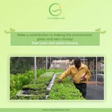 Floriculture Business in Punjab