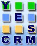 CRM Consultant In India