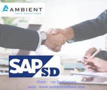 SAP SD Training institute in Noida SAP SD Training Course in Noida SAP SD Training institute in Noida SAP SD Training Course in Noida