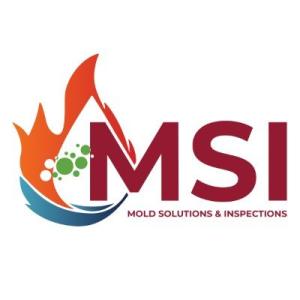 Mold Solutions & Inspections Mold Solutions & Inspections