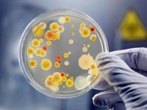 Microbiology Testing Labs in Chennai